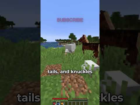 the WEIRDEST Speedruns
