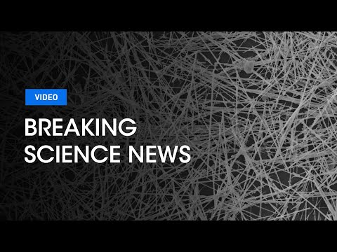 Brain Inspired Nanowire Network Learns “On the Fly” for Efficient Machine Learning