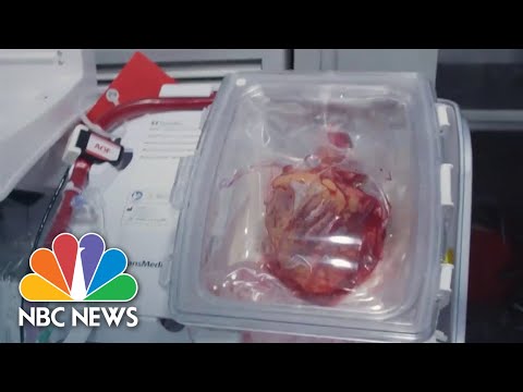 How &#039;heart in a box&#039; technology could help heart transplant recipients 