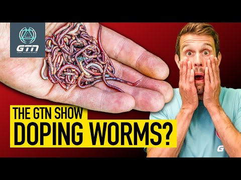 The Worm Blood Doping Scandal: Is It Real? | The GTN Show Ep. 337