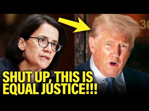 Federal Judge Instantly SHOWS MAGA and Trump HOW IT’S DONE