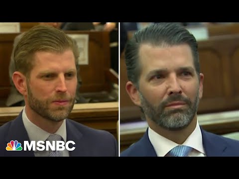 ‘How stupid do they have to be?’: Michael Cohen blasts Don Jr. and Eric&#039;s NY civil trial testimony