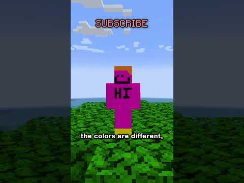 i discovered an unsolved mystery in minecraft...