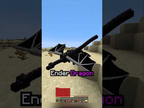Minecraft, But Your Health Divides Every Time...