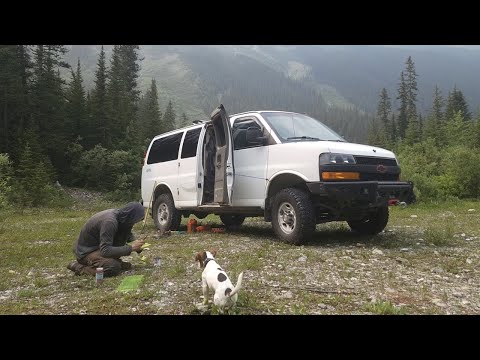 Rocko Suffered an Injury - What Do We Do Now? - Van Life in BC