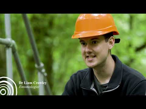 Inside the Birmingham Institute of Forest Research FACE