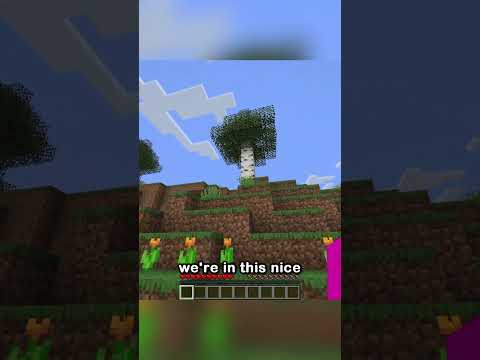 Find The One Wrong Thing (HARD)