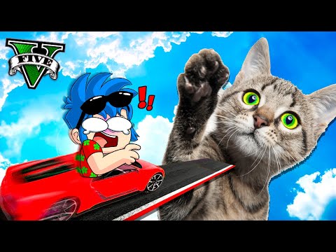GTA 5: GATO GIGANTE Vs Los COMPAS 😱🚗 Face To Face TIMBA VK