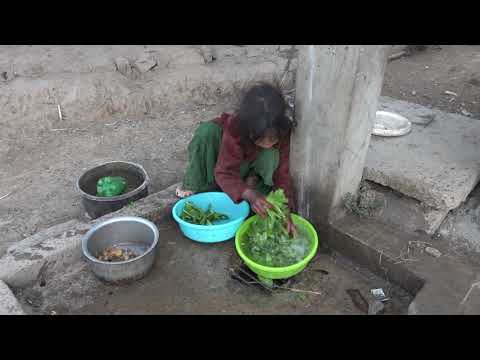 Myvillage official videos EP 766 || washing and cooking technology of green vegetables
