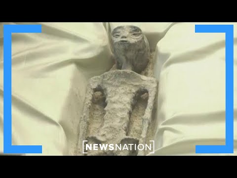 &#039;Alien corpses&#039; displayed during Mexico&#039;s Congressional hearing on UFOs | NewsNation Now
