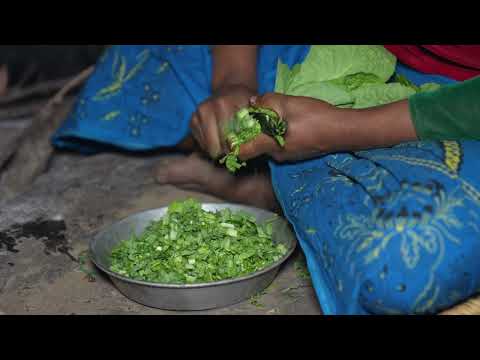Collecting green vegetables by using primitive technology || Village life