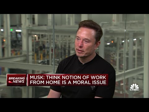 Tesla CEO Elon Musk: &#039;The laptop class is living in la-la land&#039; over work-from-home