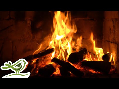 24/7 Instrumental Christmas Music 🎄 Traditional Christmas Songs with Crackling Fireplace Ambience
