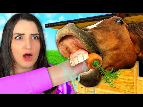 I Tried Working At A Horse Shelter …but I Hate Horses