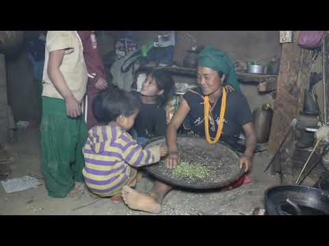 Myvillage official videos EP 384 || Working in village by using primitive technology