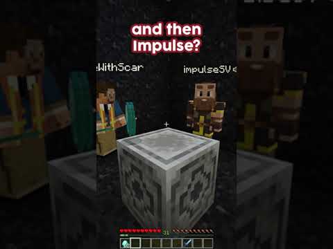 Comparing our Minecraft Stats after a Year