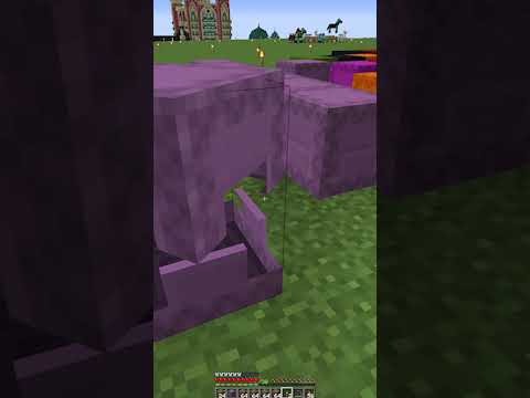 [dirt]