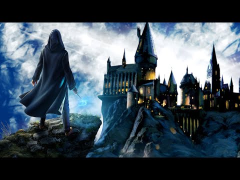 Hogwarts Legacy - TEST EN CARTON #110
