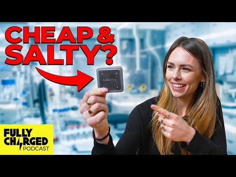 A Lost Sodium Battery Technology Gets Recharged! with LiNa Energy | The Fully Charged Podcast