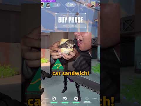 the best way to eat a cat...