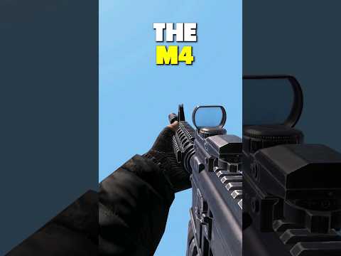 Should This Rifle Be BANNED?