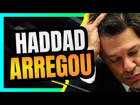 FERNANDO HADDAD já recuou em 6 PROPOSTAS econômicas, e isso é MUITO BOM para o BRASIL