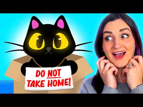 Do NOT Take This Cat Home (But I Took It Home)