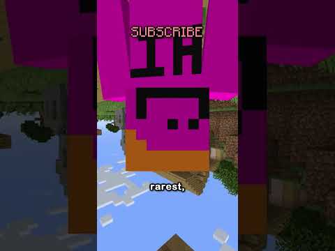 i found the rarest death in minecraft.