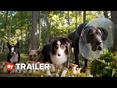 Strays F***ing Trailer (2023)