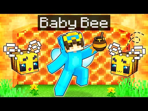 Becoming A BABY BEE In Minecraft!