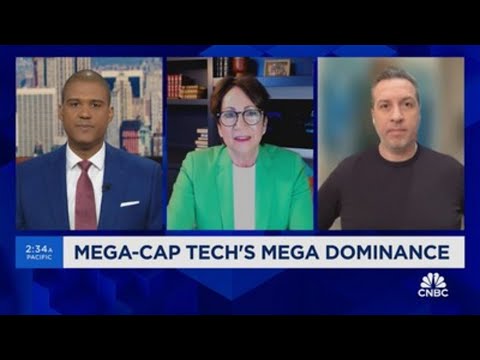 Two top tech investors discuss the sustainability of the Magnificent 7 rally