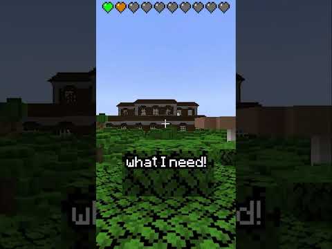 Minecraft, But The Hearts Are Randomized...