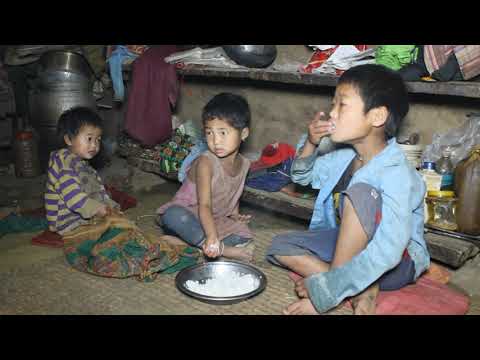 Cooking technology in village || Organic village life