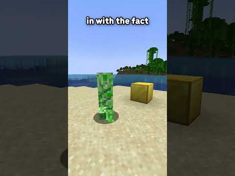 This is possibly Minecraft&#039;s most USELESS feature...