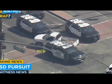Dumbest Chase Ever