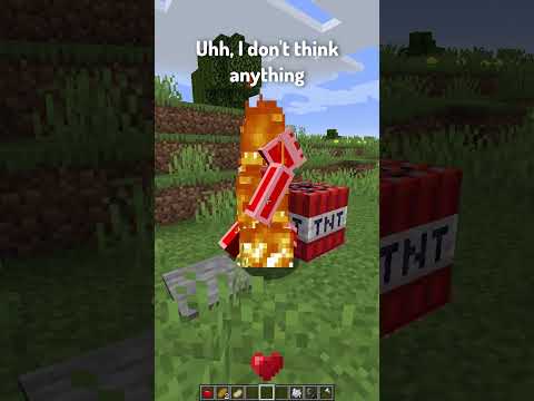 Types of OG Minecraft Players