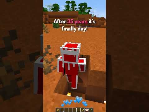 Types of Minecraft Players during the Night
