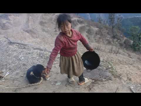 Myvillage official videos EP 221 || Traditional cooking technology
