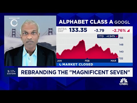 Satori Fund&#039;s Founder Dan Niles talks rebranding the Magnificent 7