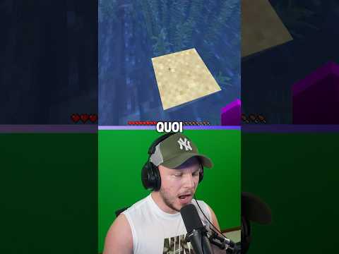 Minecraft, Mais je peux Pas Toucher L’eau..