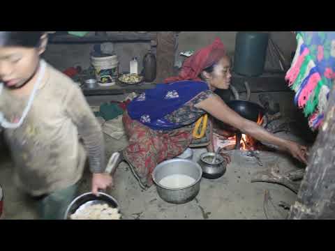Cooking technology in village || Organic life