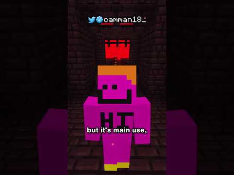THE NEW MINECRAFT ITEM IS INSANE
