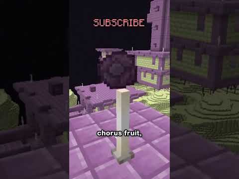 minecraft items you forgot...
