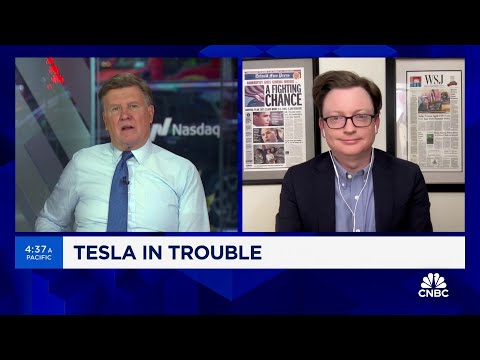 WSJ&#039;s Tim Higgins: People want a Tesla, they don&#039;t necessarily want an EV