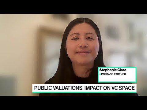 Public Valuations&#039; Impact on VC Landscape