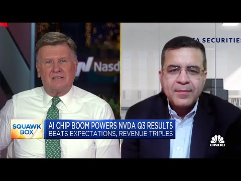 BofA&#039;s Vivek Arya on Nvidia earnings: The fundamentals &#039;are absolutely there&#039;