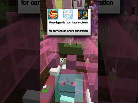 Funny Minecraft Memes From The DreamSMP