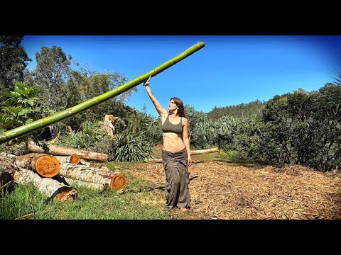 STARTING OVER - MY FAMILY GROWS, AS I LEAVE | NEW LIFE OFF GRID in the WILDERNESS - Ep. 180