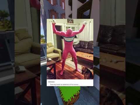 Stupid Memes