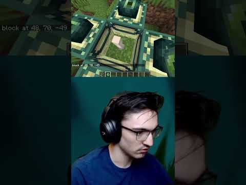 SmallAnt makes a fool of himself